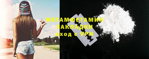 прущие грибы Пролетарск