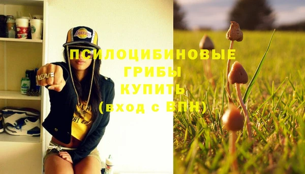 ешки Протвино
