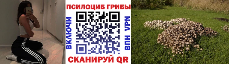 Галлюциногенные грибы Psilocybe  hydra зеркало  Камышлов 